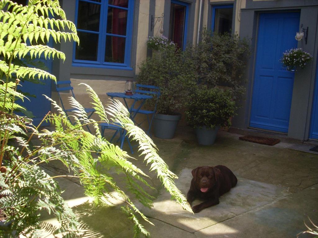 Reglisse Et Pain D'Epices - Chambres D'Hotes Honfleur Exteriér fotografie